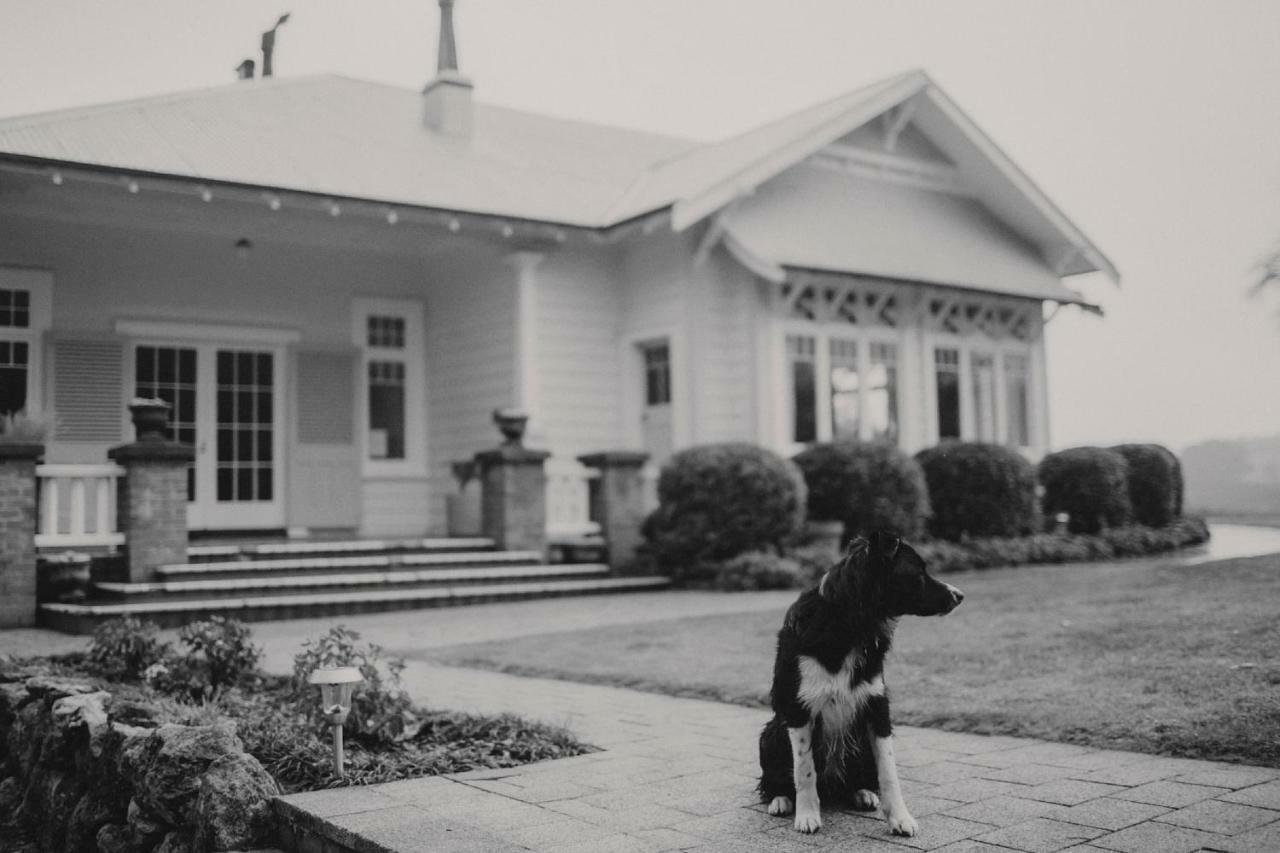 Wallingford Homestead Exterior photo